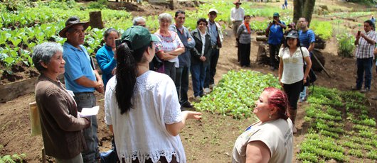 Chikach_Guatemala