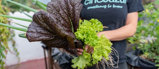 Cinco_5_Guatemala
