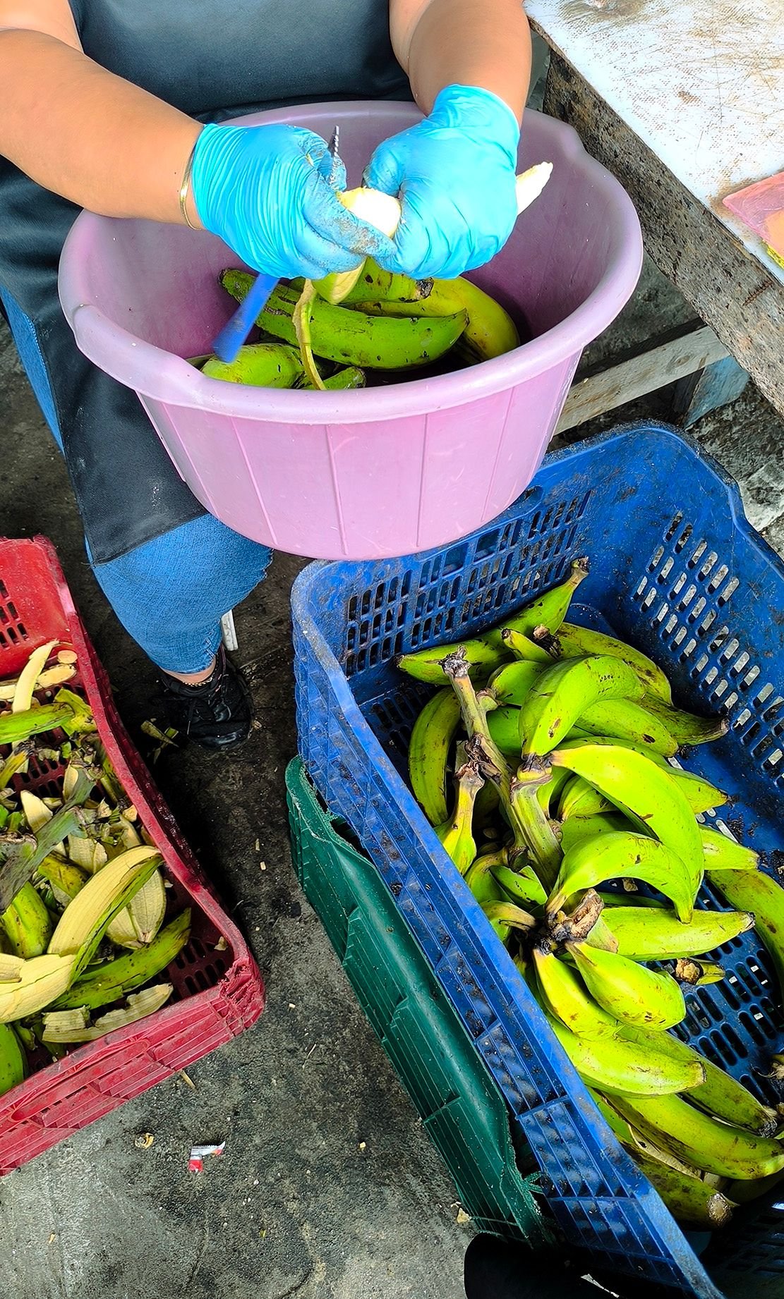 Colon_4_guatemala