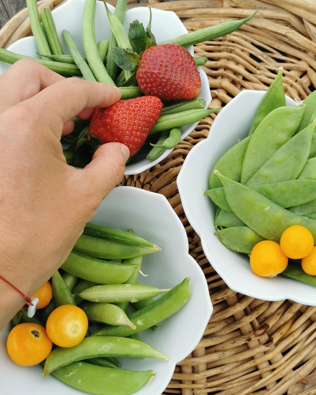 Frutas y vegetales orgánicos