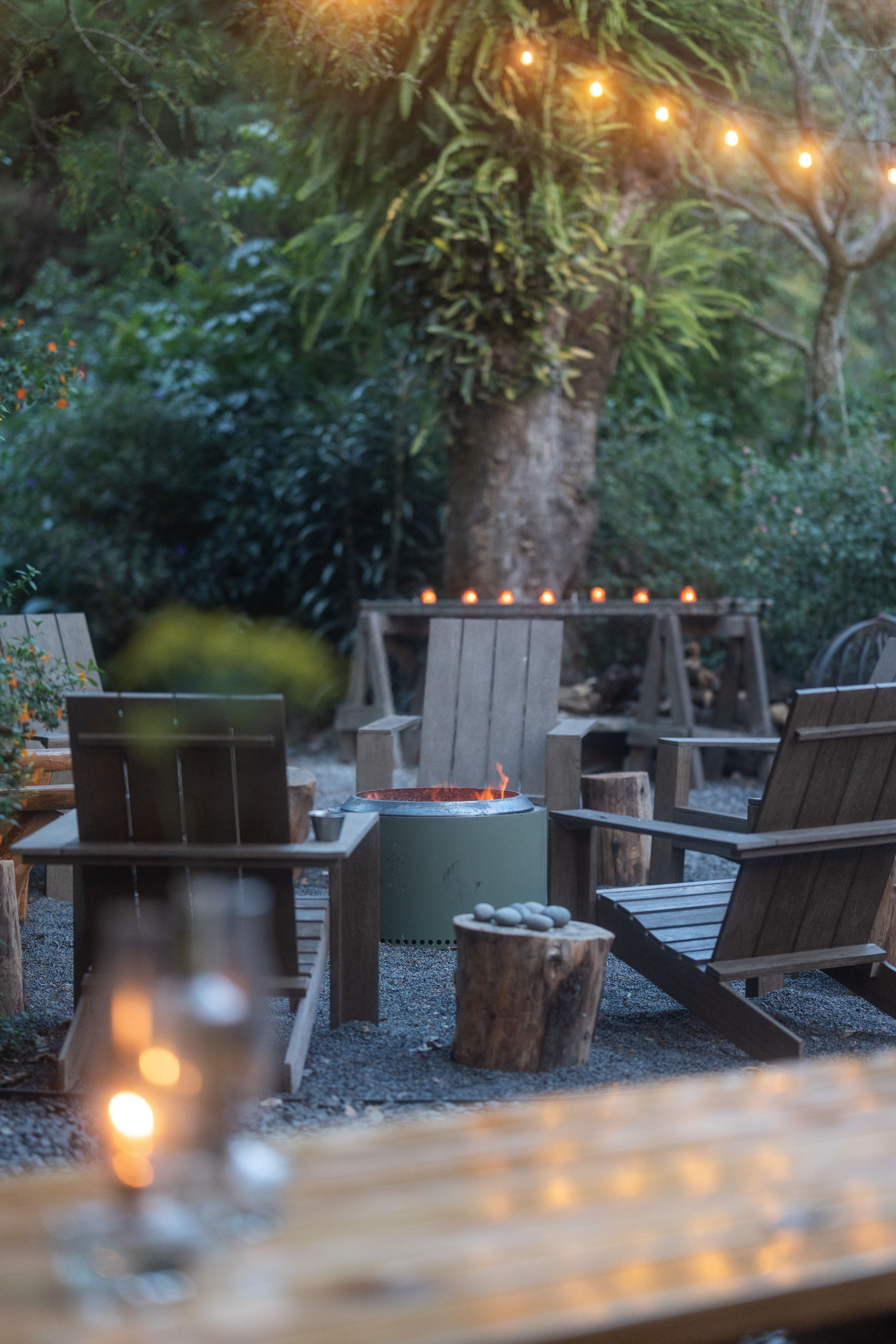 Finca_12_Sylvestris_El_Salvador_Guatemala