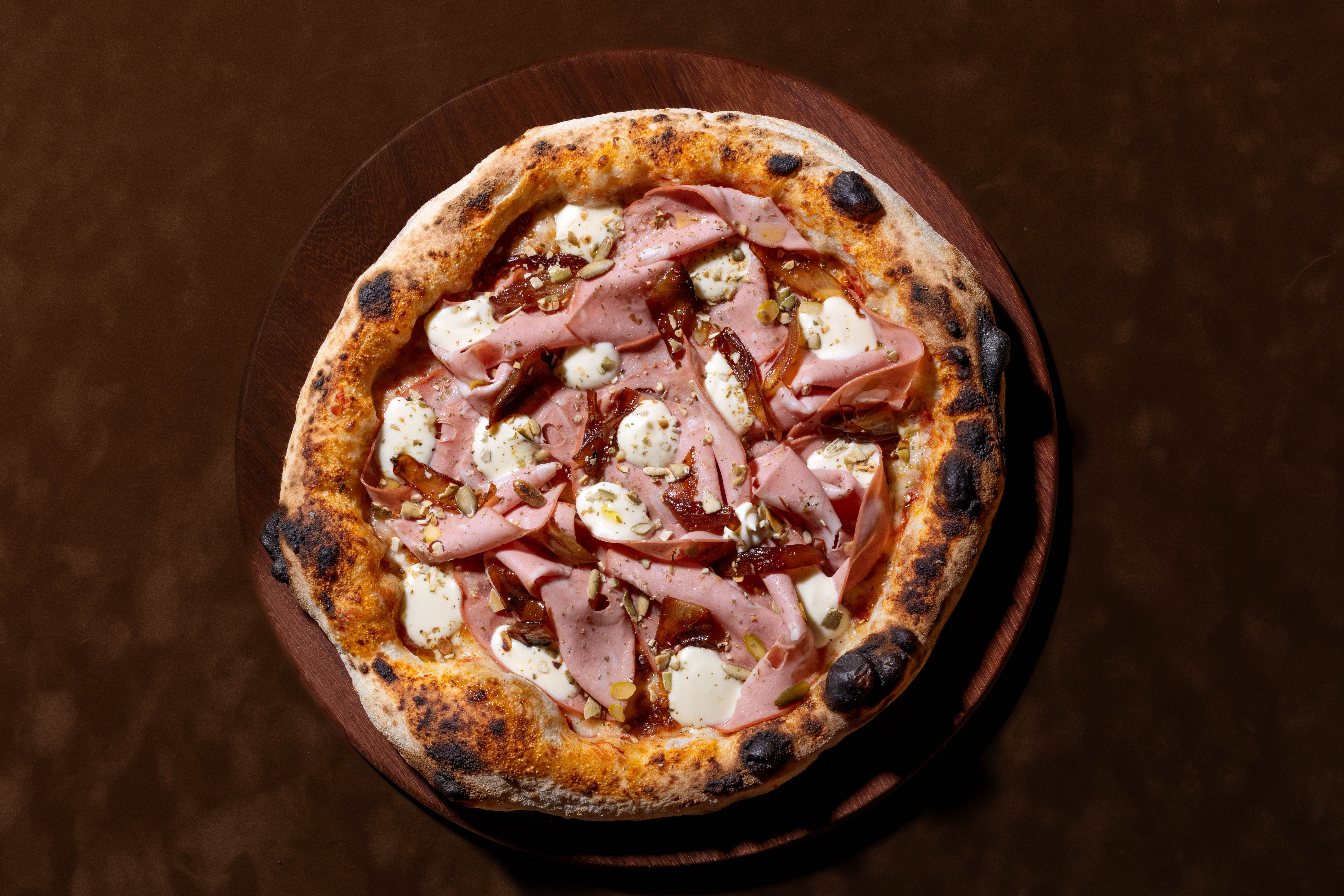 Insignia de Terra Nostra