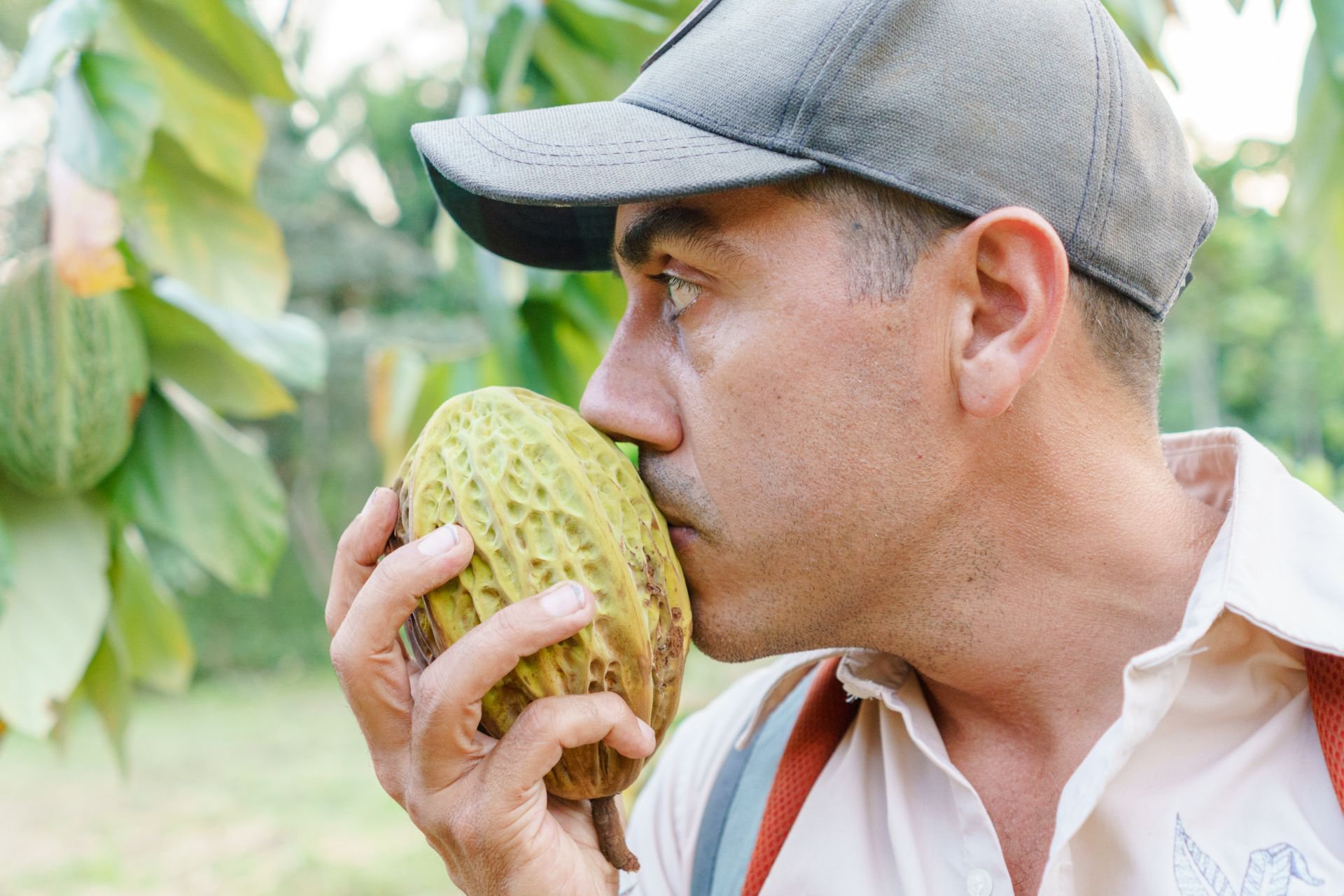 Juan-Bronson-Finca-Izabal-Agro-Forest-Cacao-Agricultura-Guatemala-Mesoamerica-73.jpg