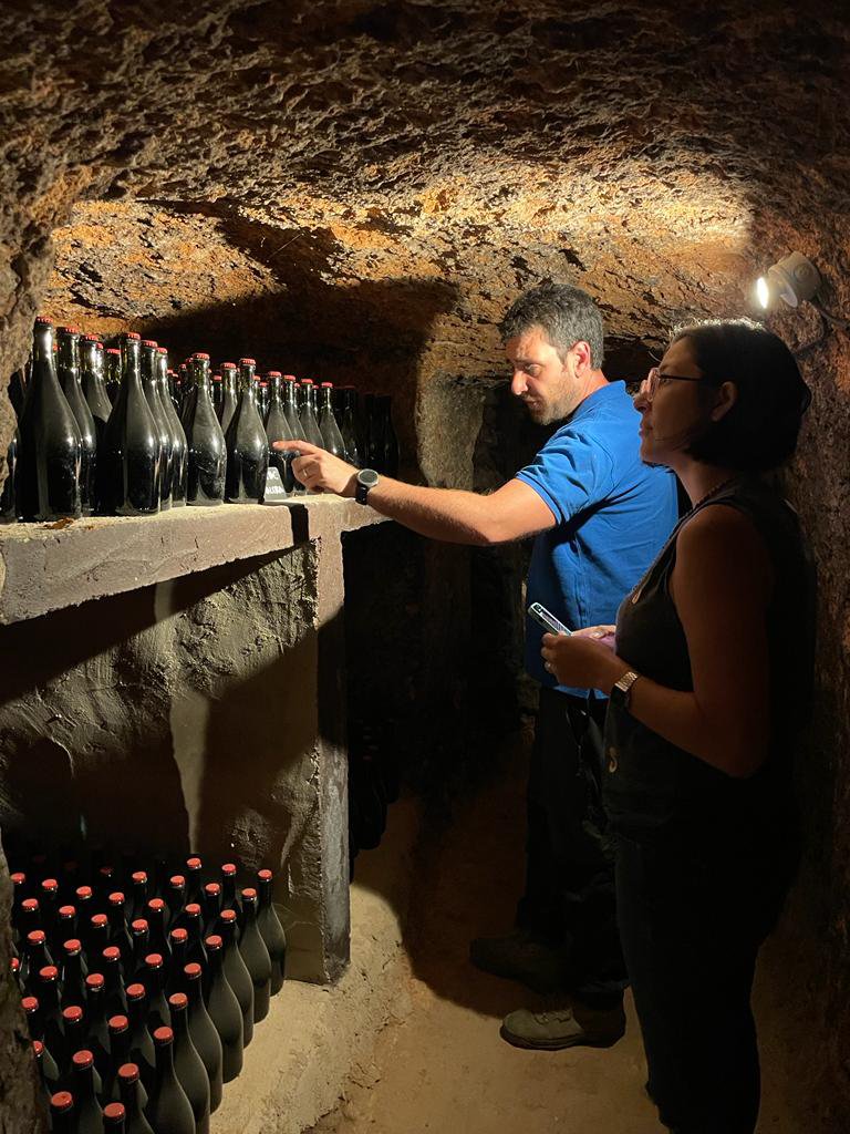 La-Clac-vinos-naturales-subversivos- libres-shopping-guide-Guatemala