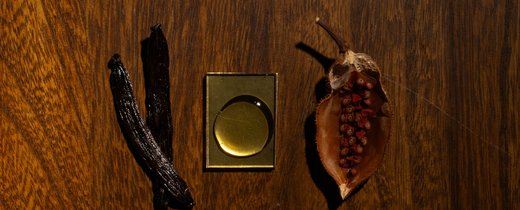 Nueva_Temporada_Pizca_Guatemala