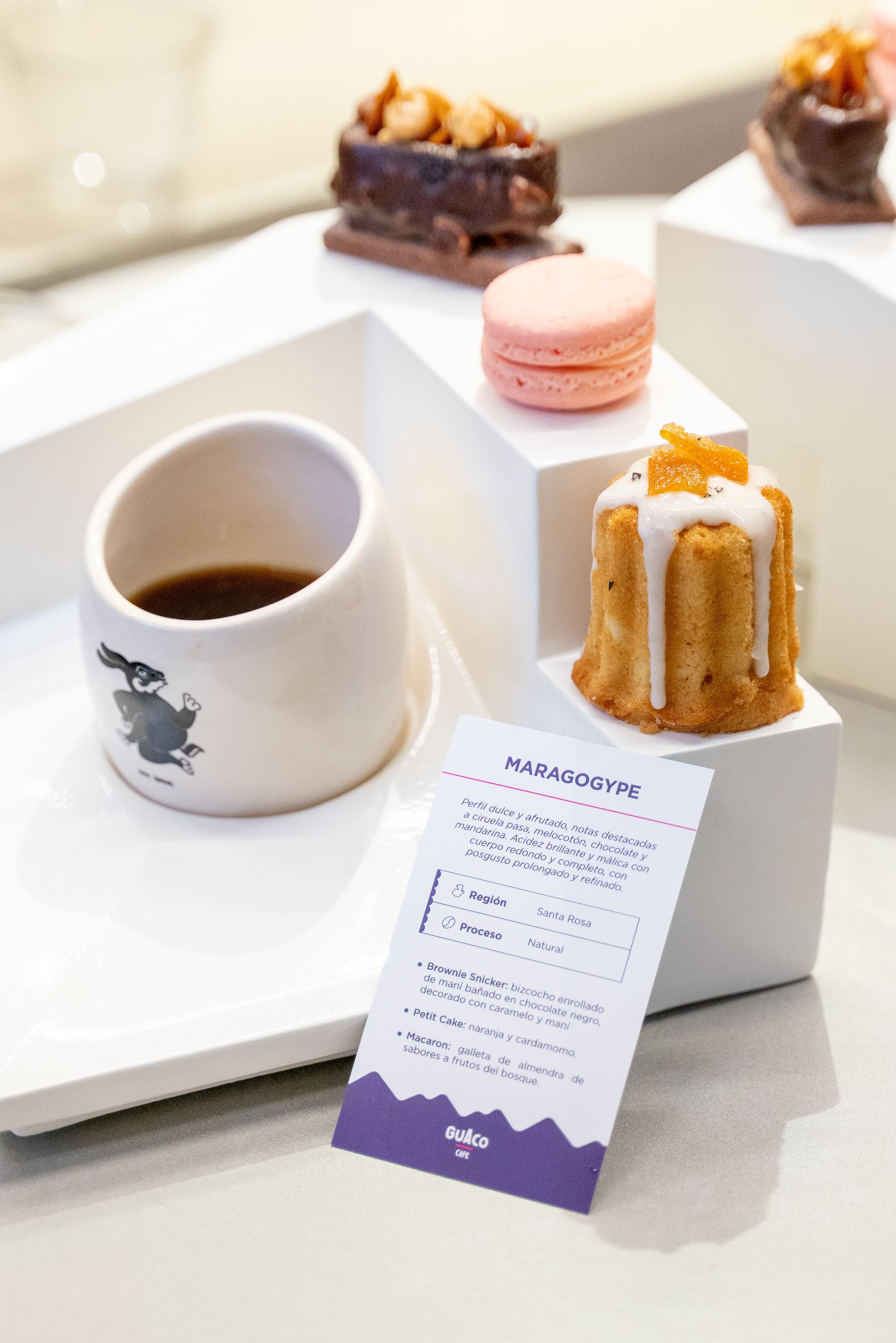 El Ritual del Café Guatemalteco