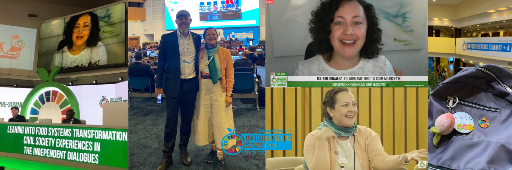 Bibi la Luz presentando en la Pre-Cumbre en Roma 2021 y en el Stocktake+4 en Addis Ababa 2025, junto con Paul Newnham, de SDG 2 Advocacy Hub en ambos años, en el panel y en la plenaria.