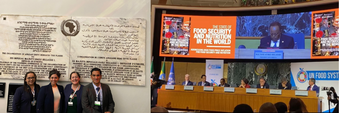 Con la delegación oficial de Guatemala en el UN Food Systems Summit Stocktake+4 durante el lanzamiento del SOFi 2025, en la sede de la UNECA en Addis Ababa, Etiopía. A la derecha, los representantes de WFP, FAO, Presidente de Etiopía, Sub-Secretaria General de la ONU, Vice Ministro de Asuntos Exteriores de Italia, IFAD, y Ministro de Desarrollo, Asistencia Social y Combate del Hambre de Brasil.