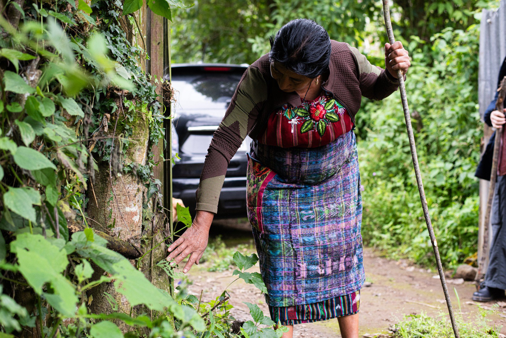 Ana María saludando al guardián del terreno: un árbol de chichicaste (ortiga) el cuál ella asegura que es el guardián porque nos corrige