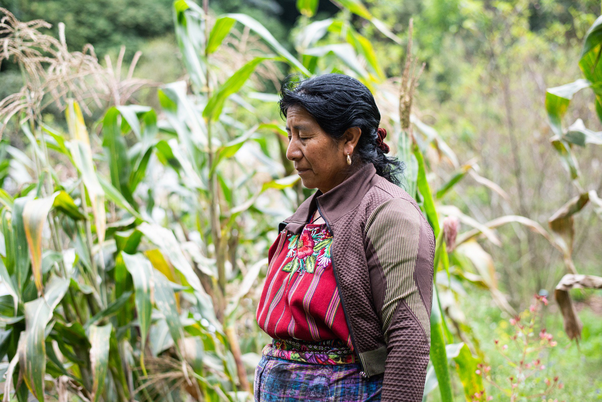 Ana María guiando el permiso a la tierra para acercarse y tocarla