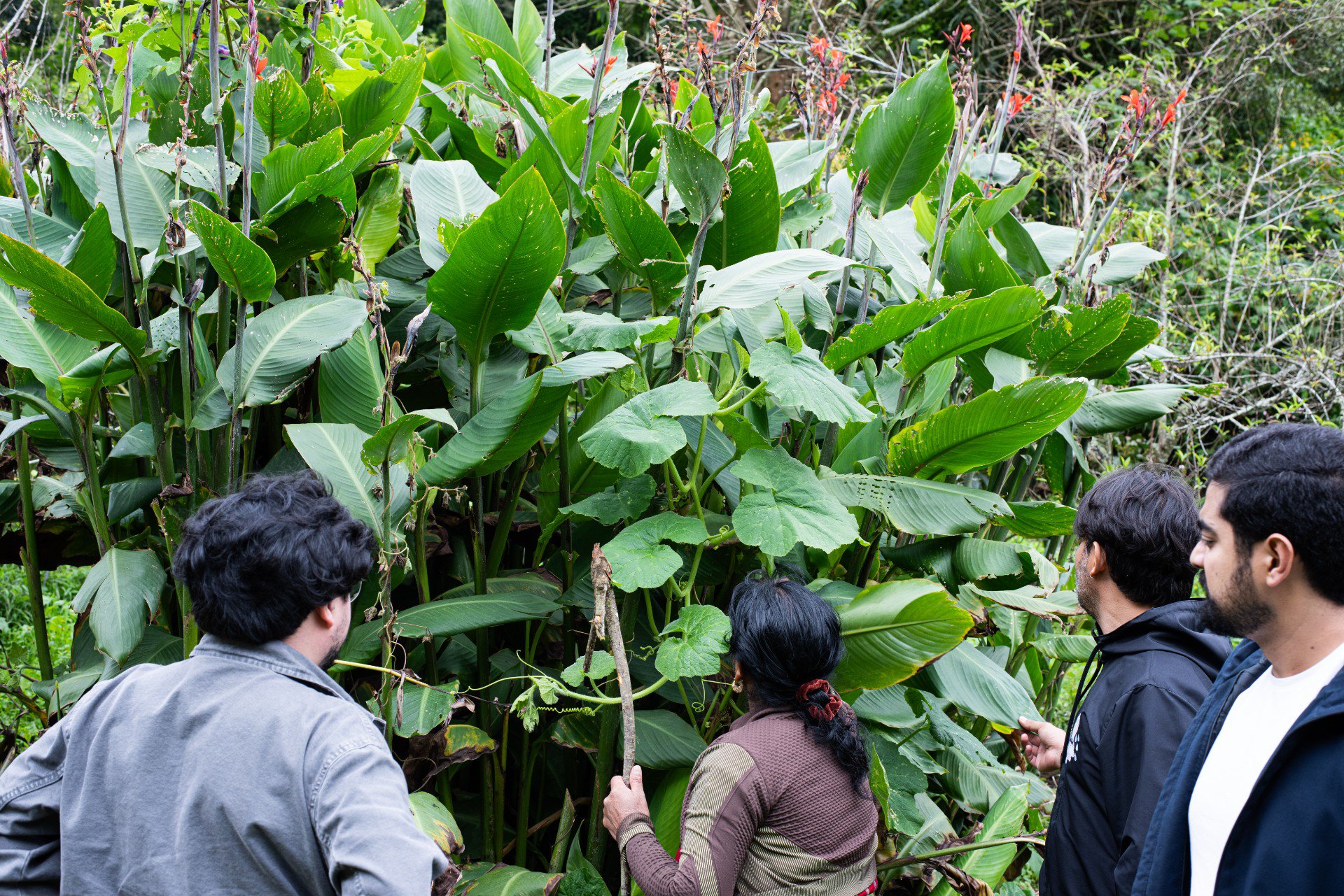 Tapisca_Victor_Comercial_Guatemala