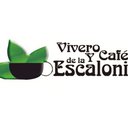 restaurante-cafe-la-escalonia-antigua-guatemala-logo.jpg